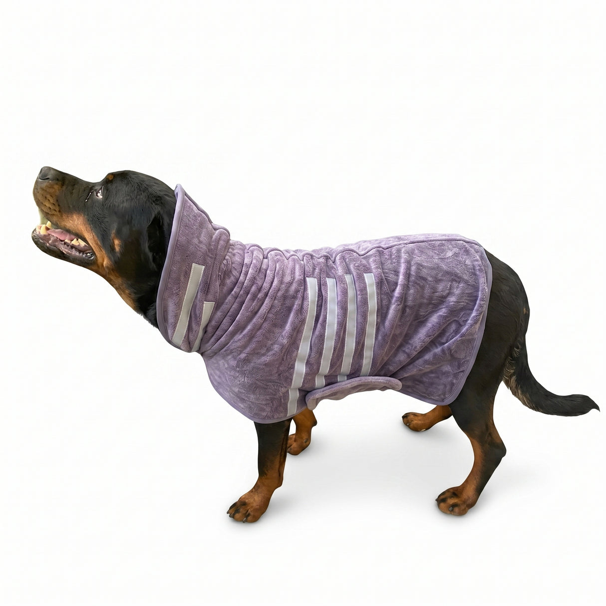Hundebademantel