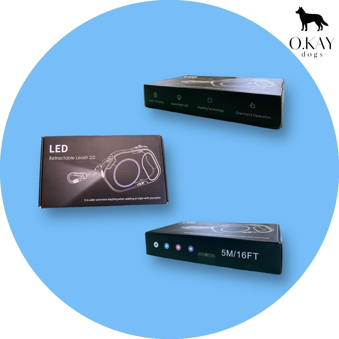 Flexleine mit LED-Leuchte