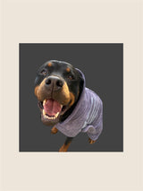 Hundebademantel