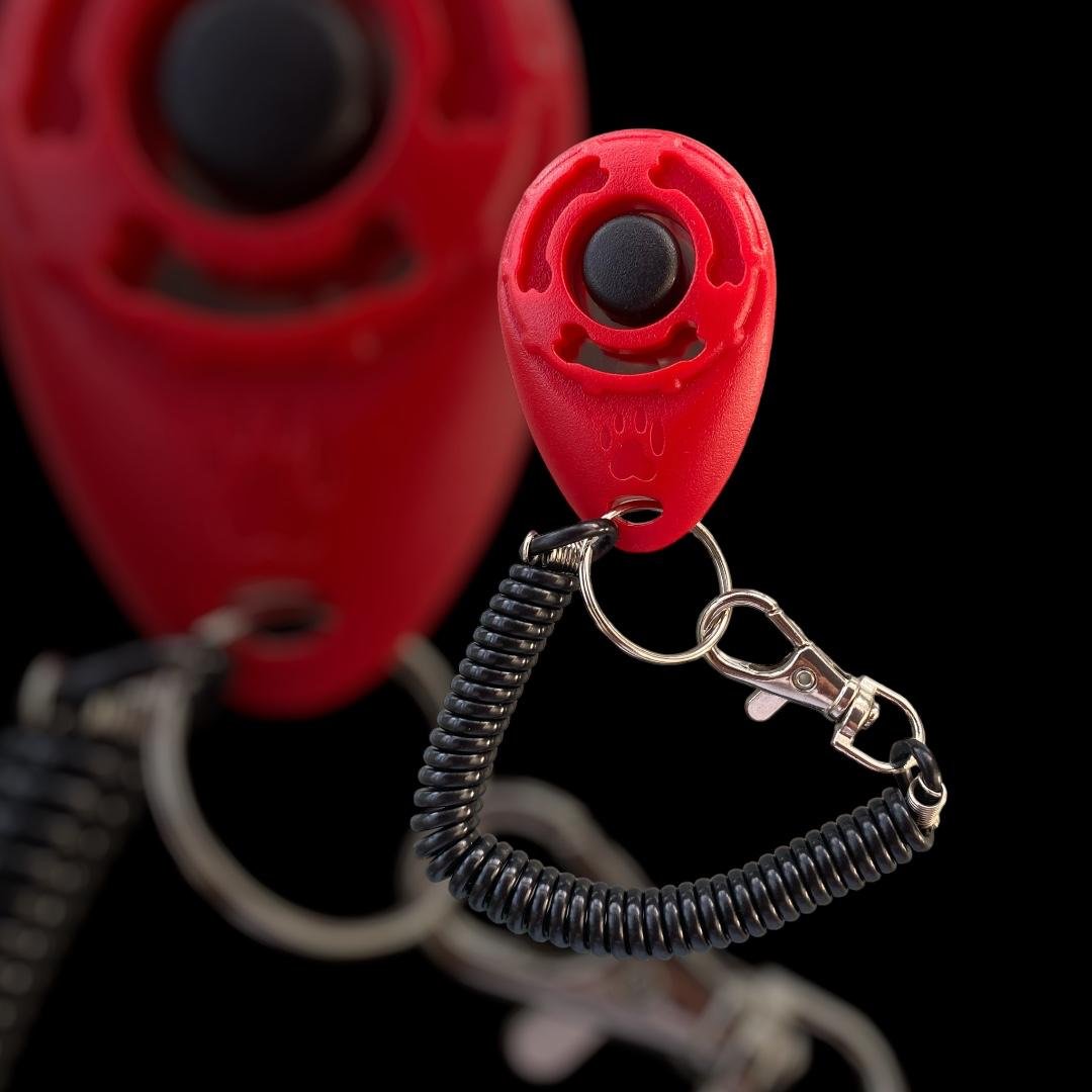 Trainingsclicker mit Handschlaufe