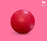 Frisbee